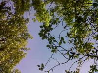 Vaucresson 20140505 01216